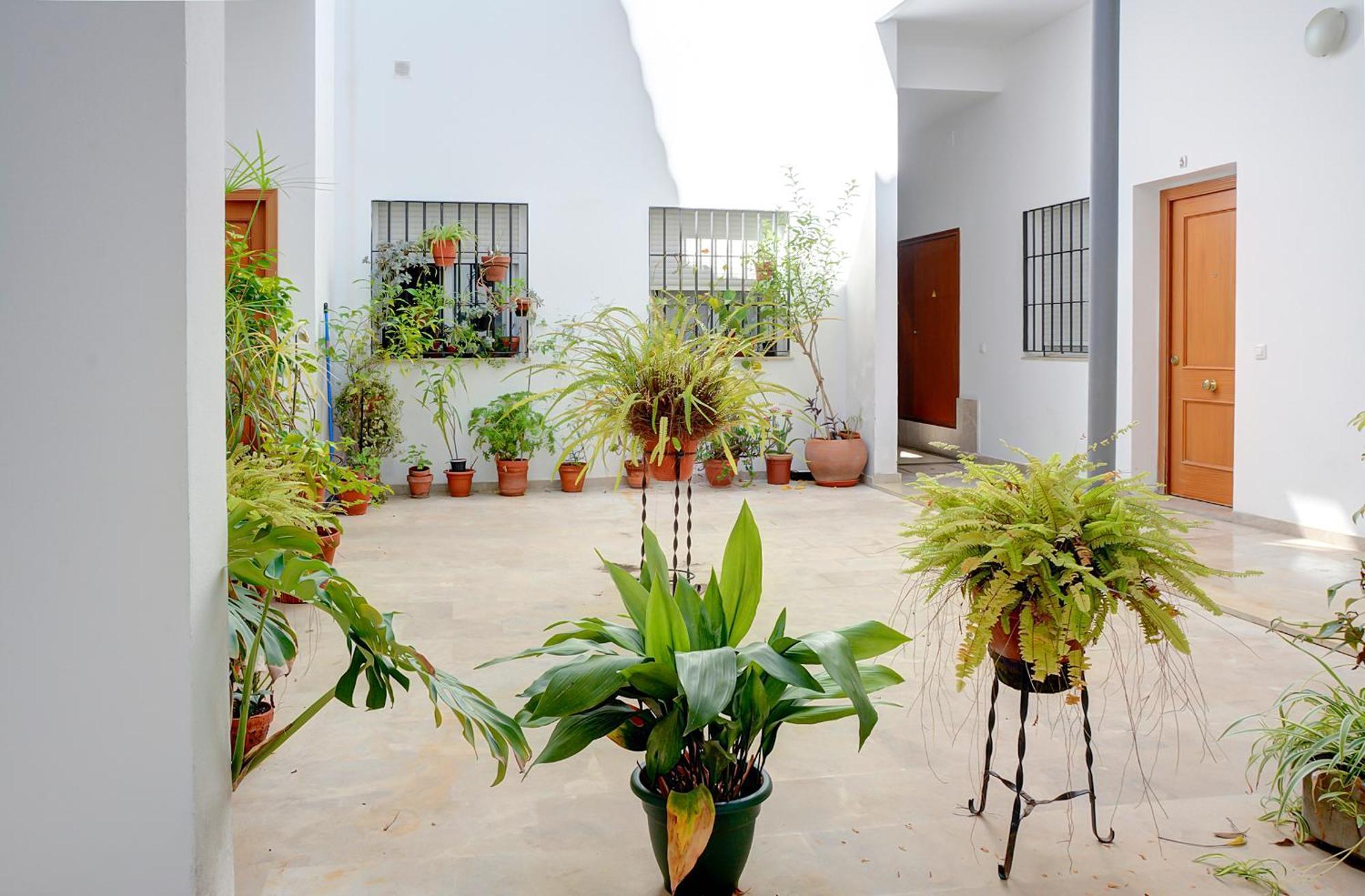 Estudio Plaza De La Encarnacion Sevilla Exteriér fotografie